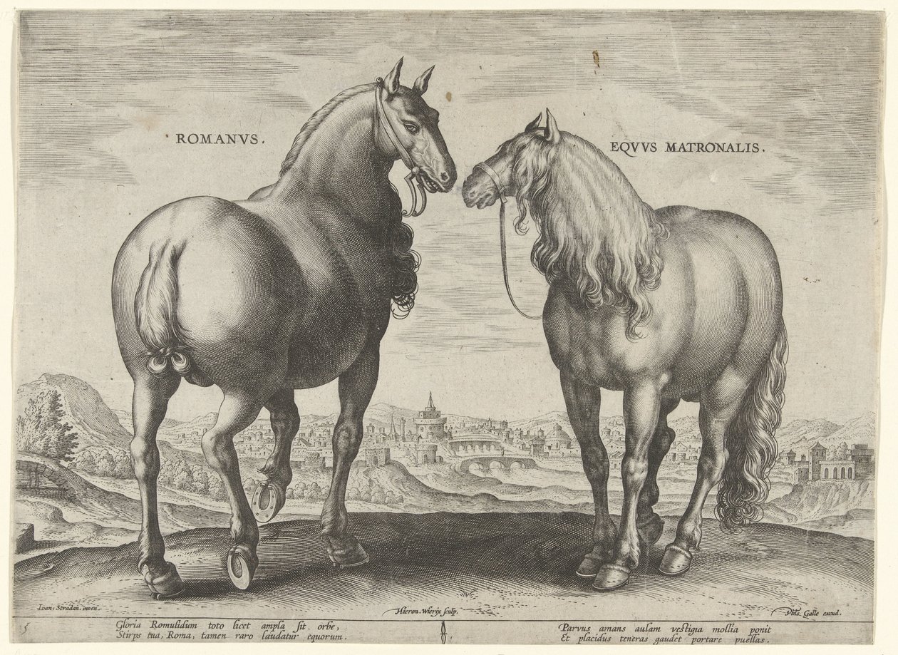 Hest fra Roma og en surrogathoppe Romanvs Eqvvs Matronalis (tittel på objekt) Hesteraser fra Royal Stables of Don Juan of Austria (serietittel) Equile Ioannis Austriaci Caroli (serietittel) av Hieronymus Wierix
