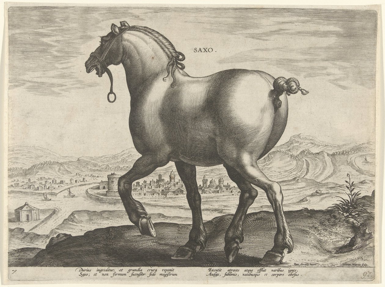 Hest fra Sachsen Saxo (tittel på objekt) Hesteraser fra den kongelige stallen til Don Juan av Østerrike (serietittel) Equile Ioannis Austriaci Caroli (serietittel) av Hieronymus Wierix