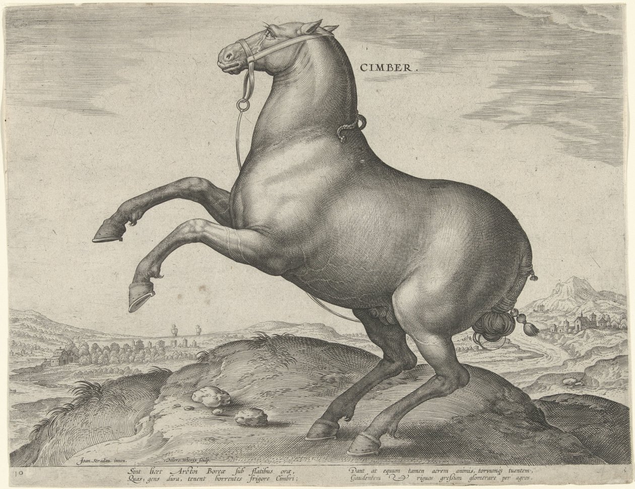 Hest fra Scythia Cimber (tittel på objekt) Hesteraser fra Royal Stables of Don Juan of Austria (serietittel) Equile Ioannis Austriaci Caroli (serietittel) av Hieronymus Wierix