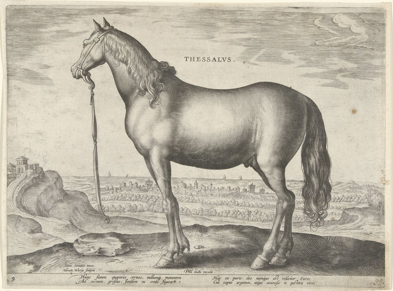 Hest fra Thessaly (Thessalos) Thessalvs (tittel på objekt) Hesteraser fra Royal Stables of Don Juan of Austria (serietittel) Equile Ioannis Austriaci Caroli (serietittel) av Hieronymus Wierix