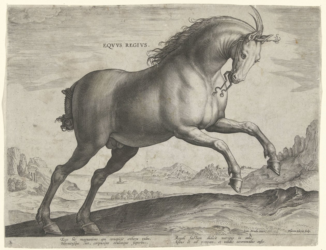 Hest av rasen Equus Regius (den kongelige) Eqvvs Regivs (tittel på objekt) Hesteraser fra Royal Stables of Don Juan of Austria (serietittel) Equile Ioannis Austriaci Caroli (serietittel) av Hieronymus Wierix