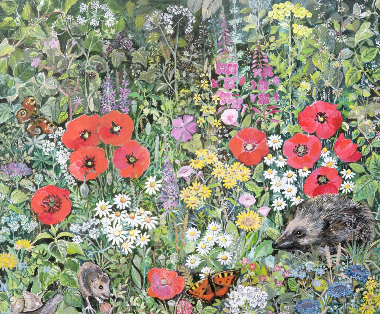 Pinnsvin blant blomstene av Hilary Jones