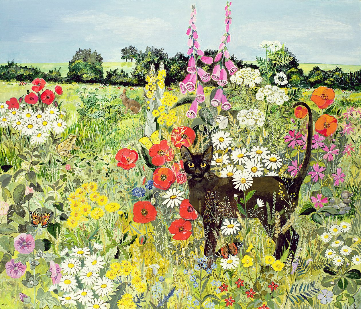 Sommerkatt av Hilary Jones