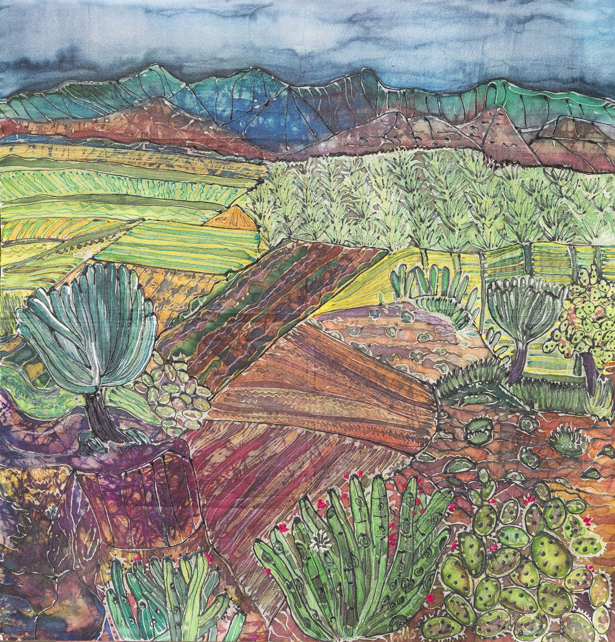 Oaxaca landskap av Hilary Simon