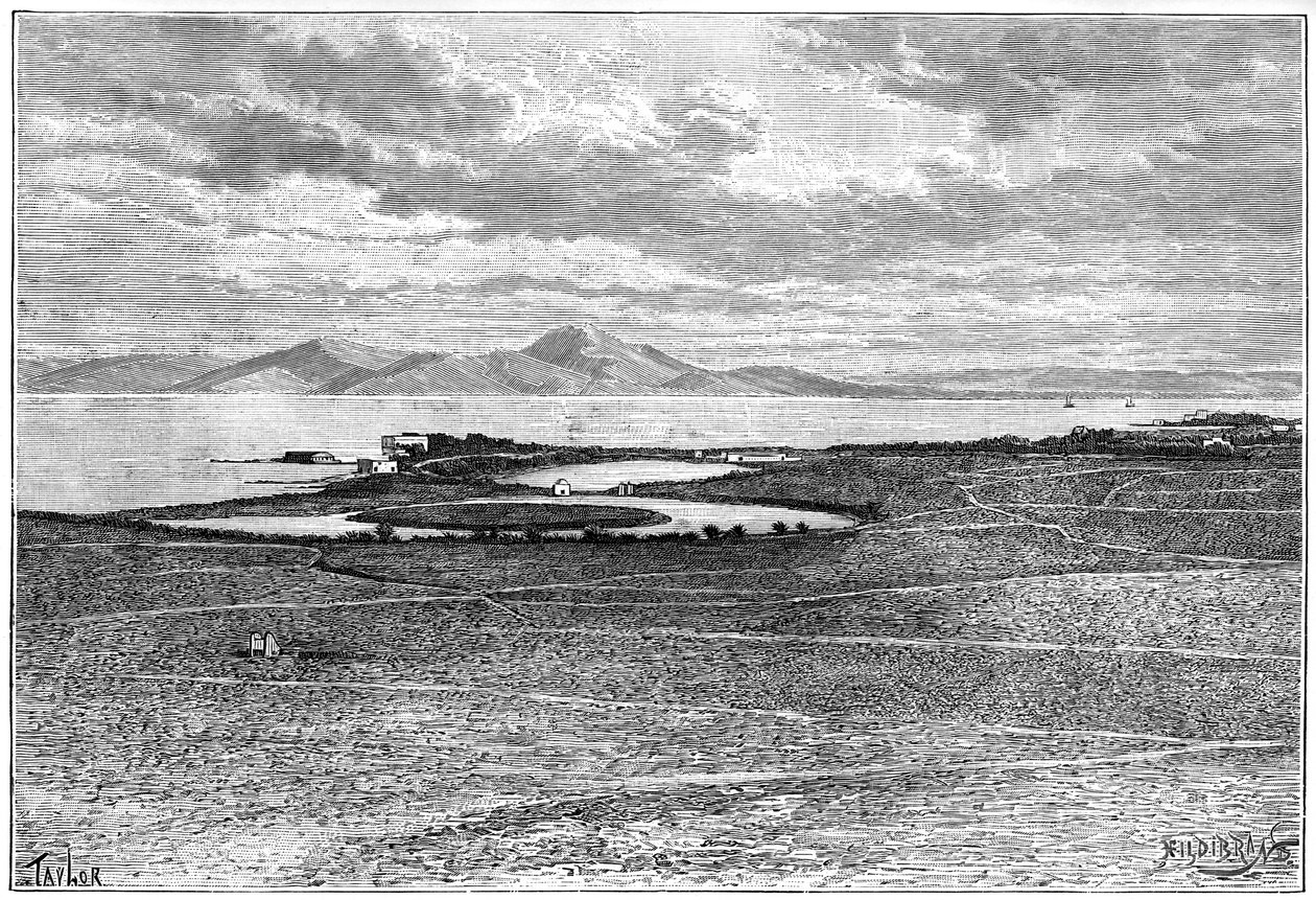 Gamle havner i Kartago, Tunisia, c1890 av Hildibrand