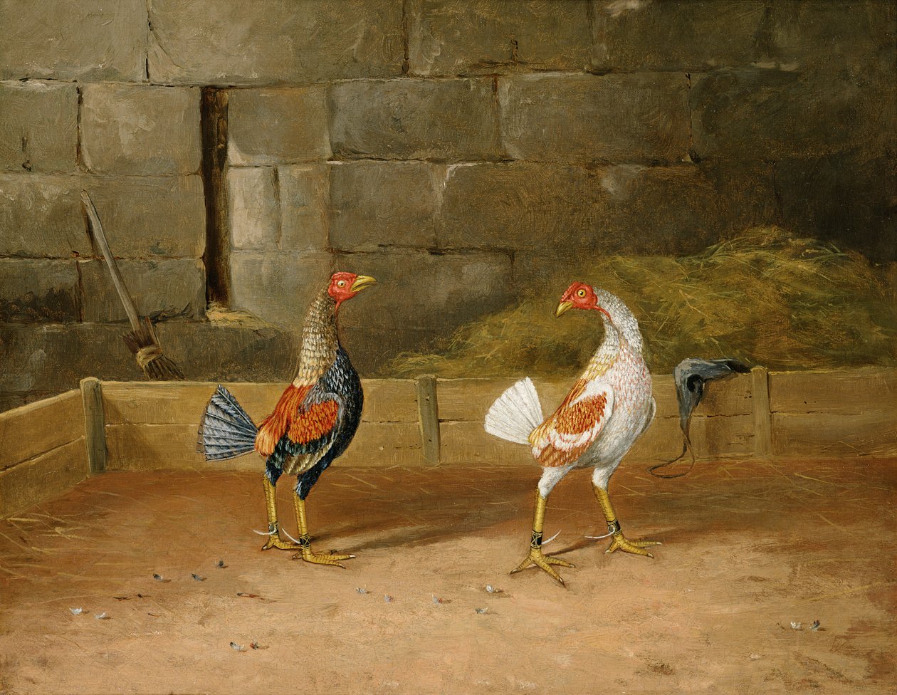 The Challenge (olje på lerret) (par til 101164) av Hilton L. Jnr. Pratt
