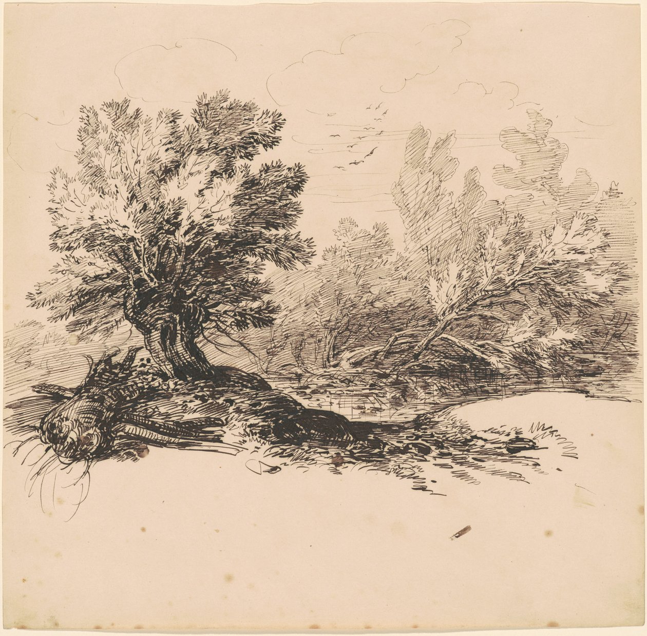 En Pollard Willow ved en bekk av Hippolyte Lalaisse