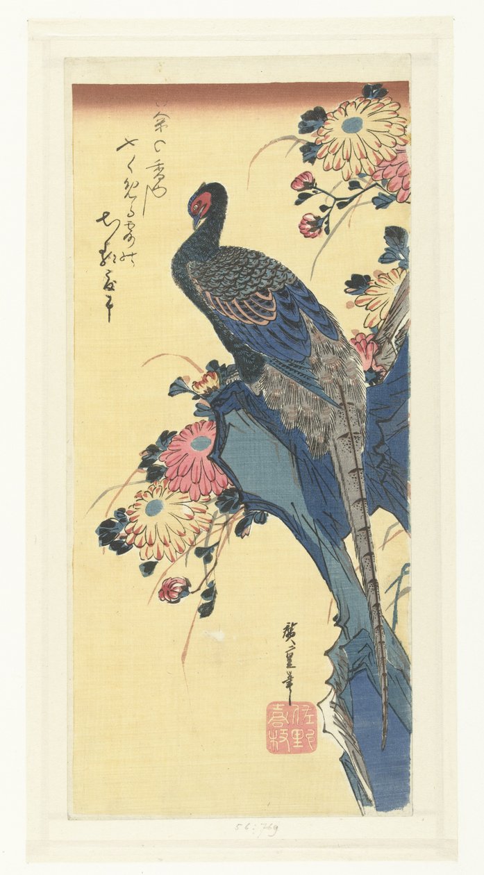Fasan og krysantemum av Hiroshige (I) , Utagawa
