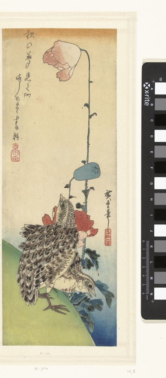 Vaktler og valmuer av Hiroshige (I) , Utagawa