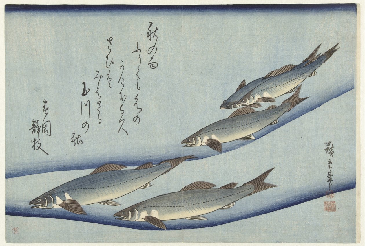 Ørret av Hiroshige (I) , Utagawa