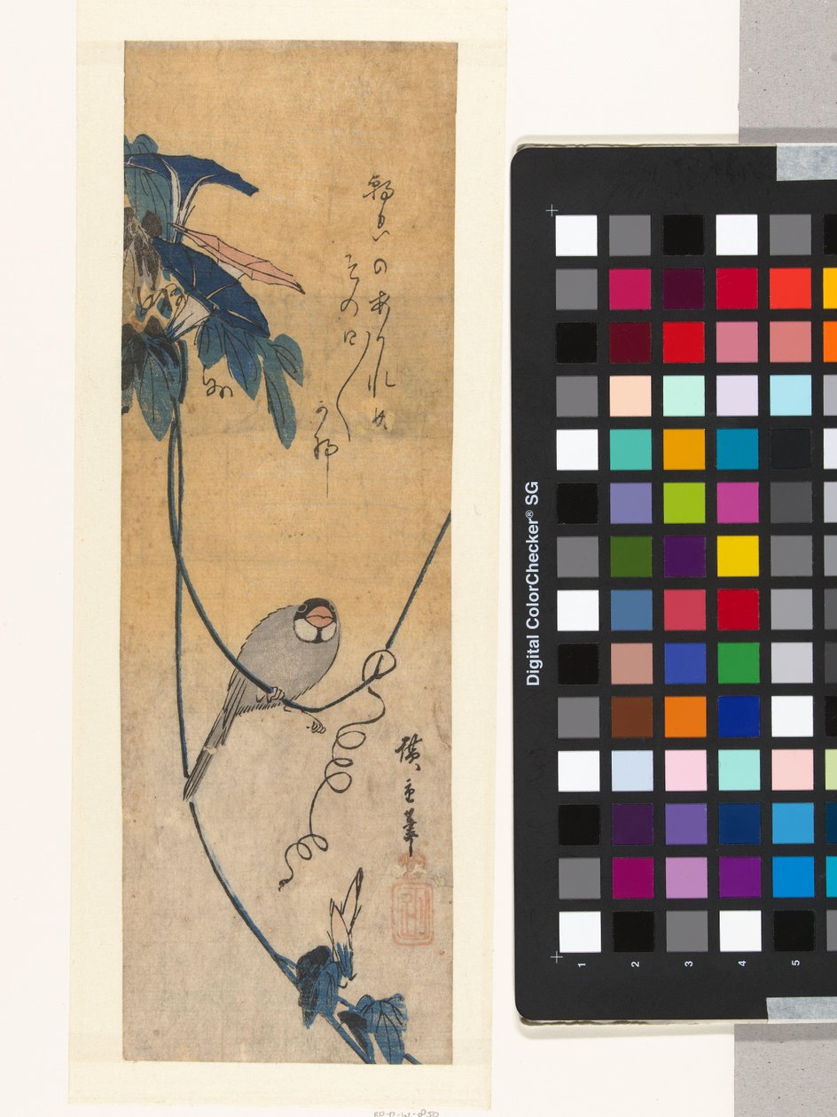 Fugl og blå bindweed av Hiroshige (I) , Utagawa