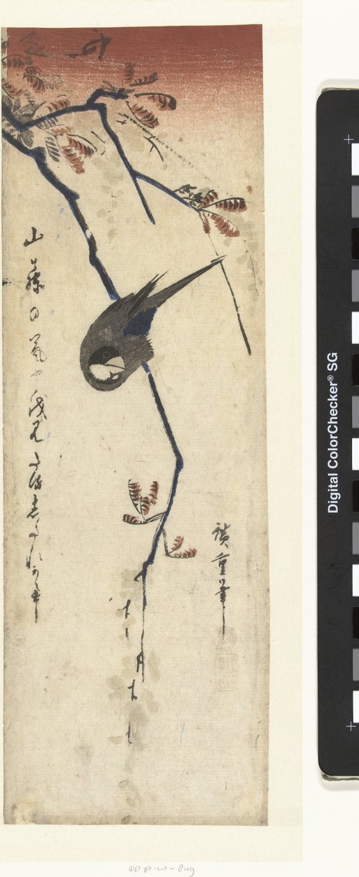 Fugl og blåregn av Hiroshige (I) , Utagawa