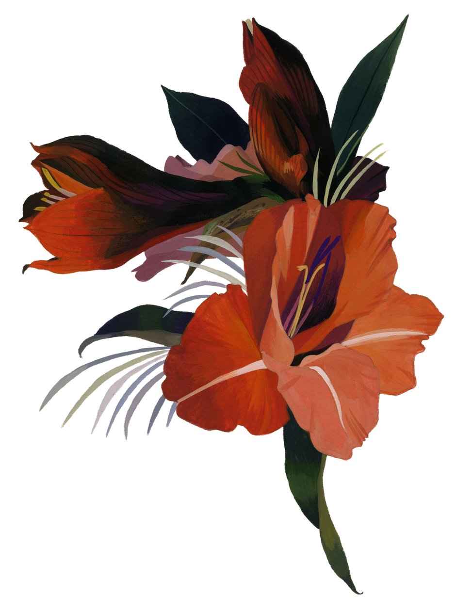 En imaginær blomst basert på en amaryllis. av Hiroyuki Izutsu
