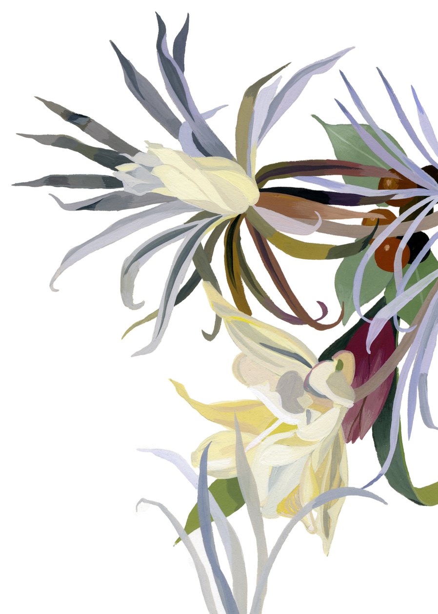 Elegante, skjegglignende blomster. av Hiroyuki Izutsu