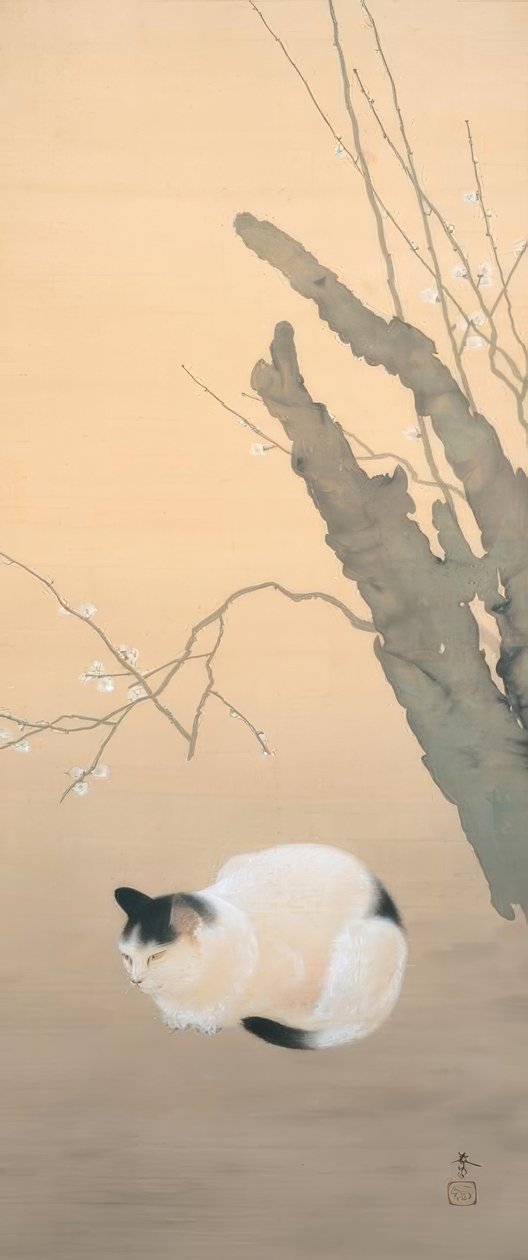 Hishida Shunso, katt og plomme blomstrer av Hishida shunso