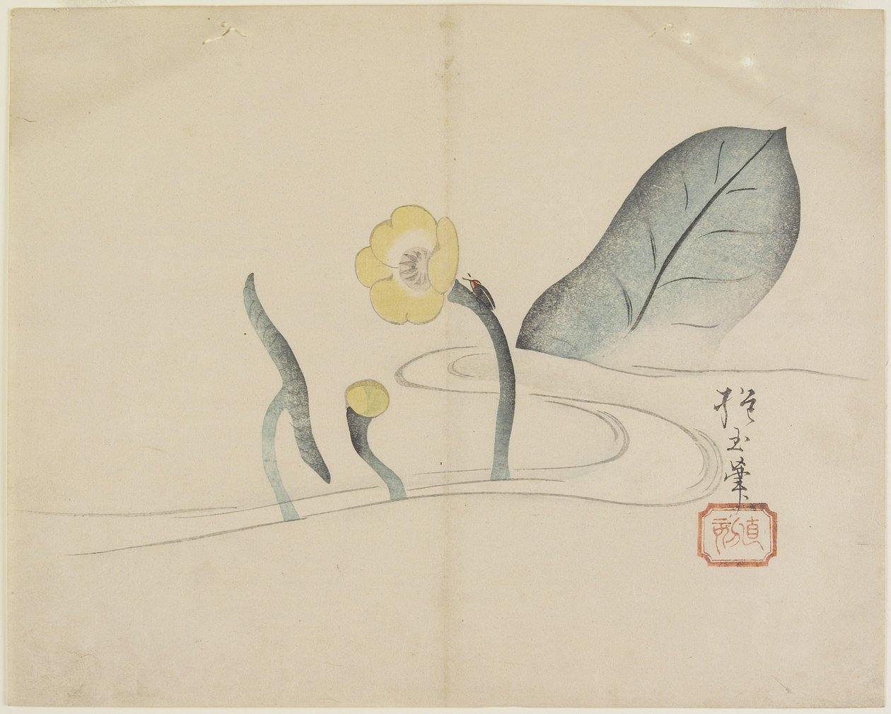 (Lotus og en gullbug), ca. 1830 av Hogyoku