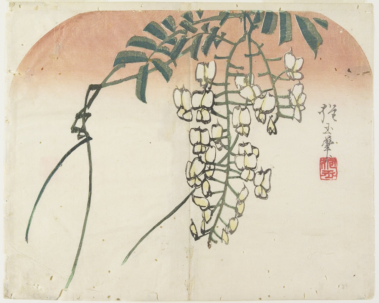 (White Wisteria), ca. 1830 av Hogyoku