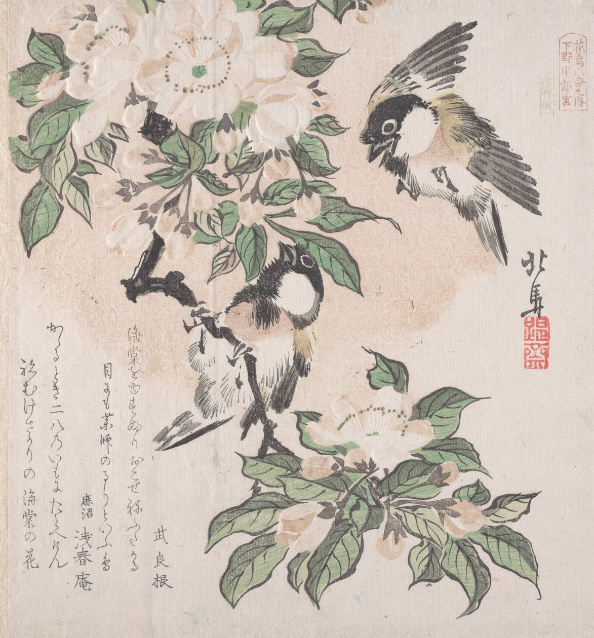 Spring Rain Collection Harusame shu, vol. 3: Myrmeis og krabbeepleblomster, ca. ..., ca. 1820. av Hokuba