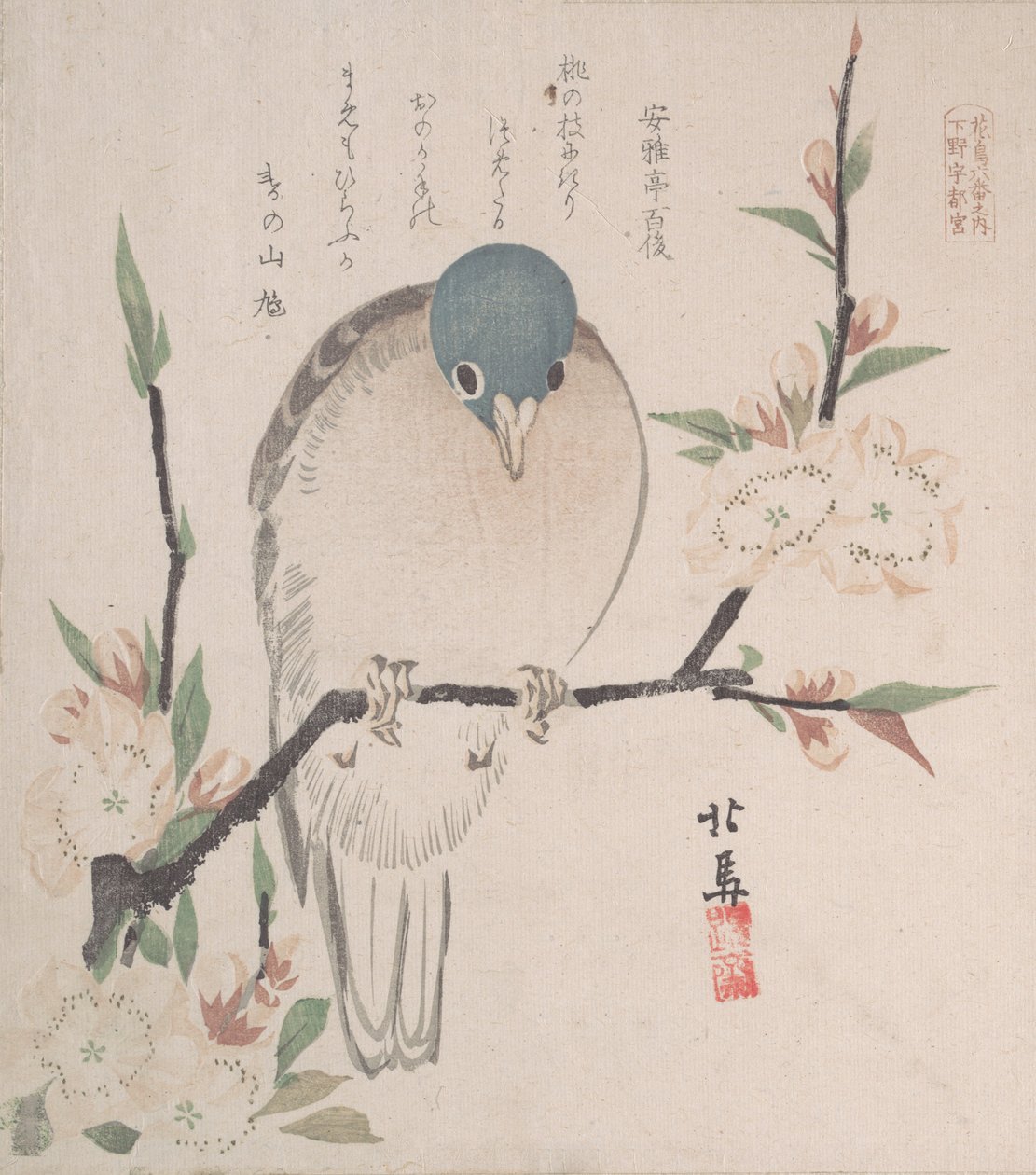 Spring Rain Collection Harusame shu, vol. 3: Fjelldue og ferskenblomster, ca. 1820., ca. 1820. av Hokuba