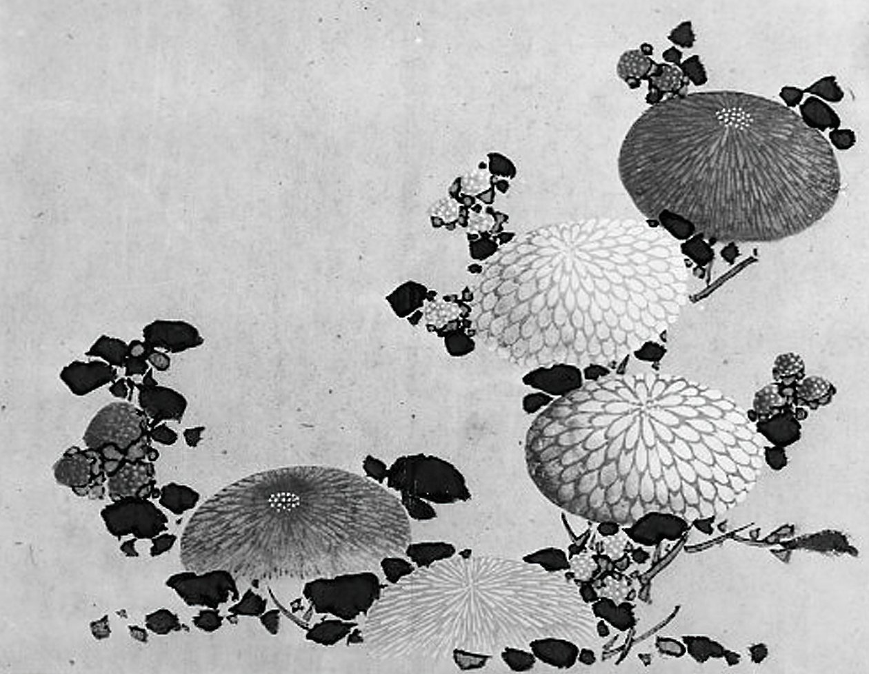 Krysantemum, 1800-tallet. av Hokusai School.