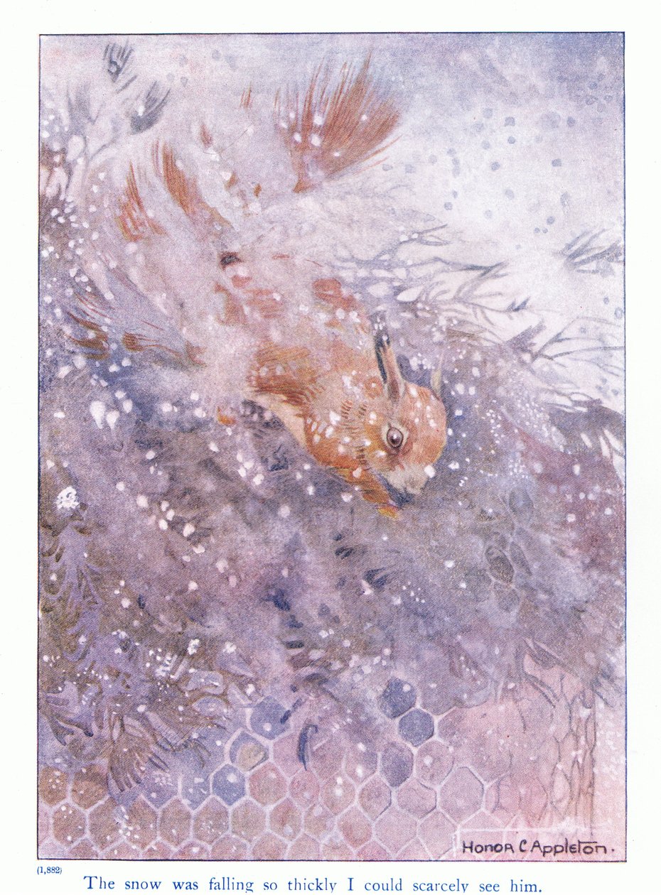 Snøen falt så tykt at jeg knapt kunne se ham, illustrasjon fra "More About the Squirrels" av Eleanor Tyrell, ca. 1915 (farge litho) av Honor Charlotte Appleton
