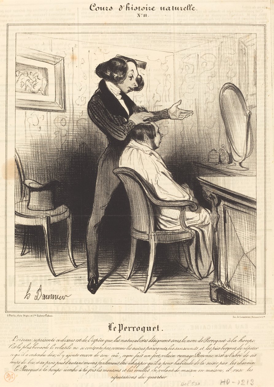 Papegøyen av Honoré Daumier