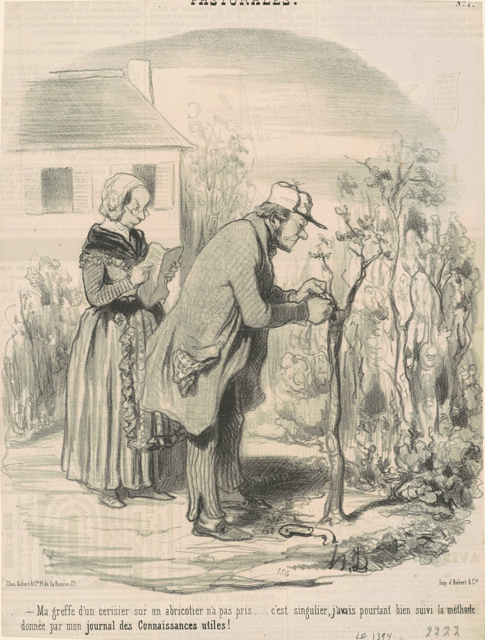 Podingen min av et kirsebærtre på et aprikostre tok ikke ... av Honoré Daumier