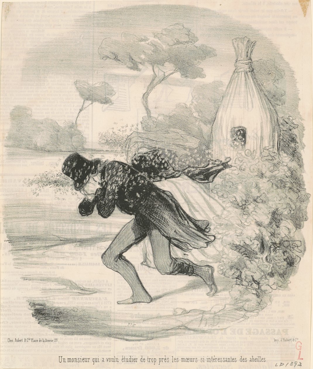 En herre som ønsket å studere ... bienes skikker av Honoré Daumier