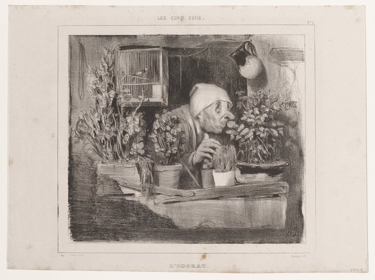 Luktesansen (De fem sansene), fra La Caricature av Honoré Daumier