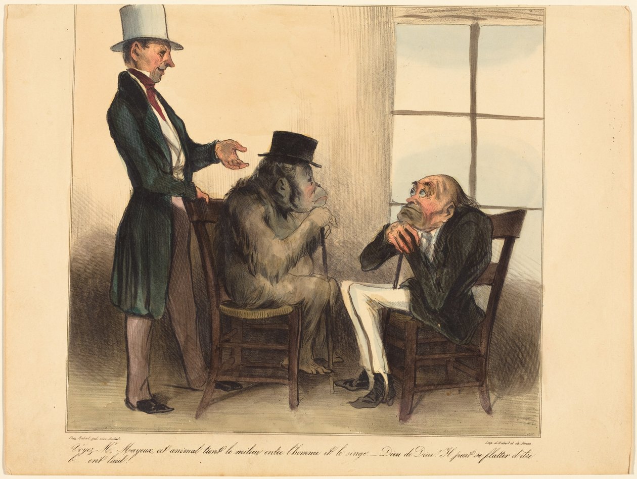 Se, herr Mayeux, dette dyret... av Honoré Daumier
