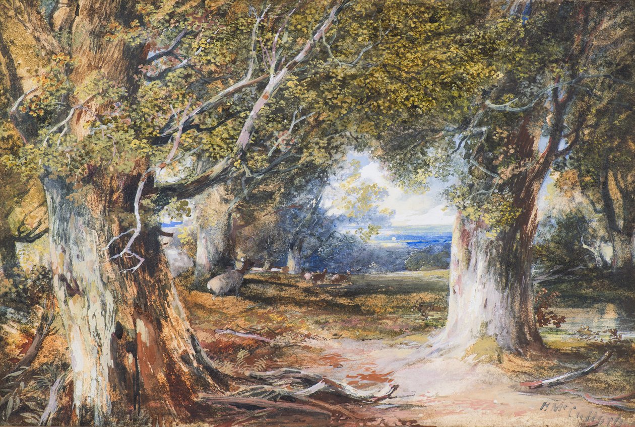 In the Wood (akvarell) av Horatio McCulloch