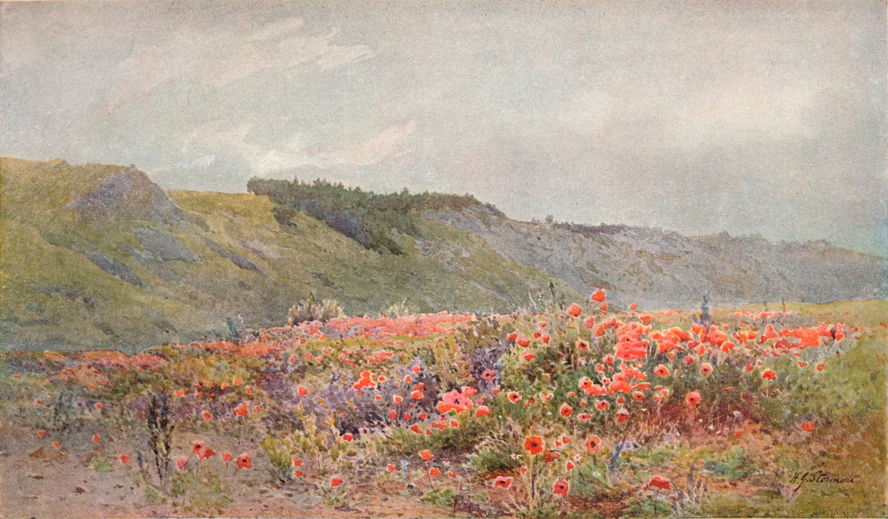 Valmuens dal, c1879-1903, 1903 av Howard Gull Stormont