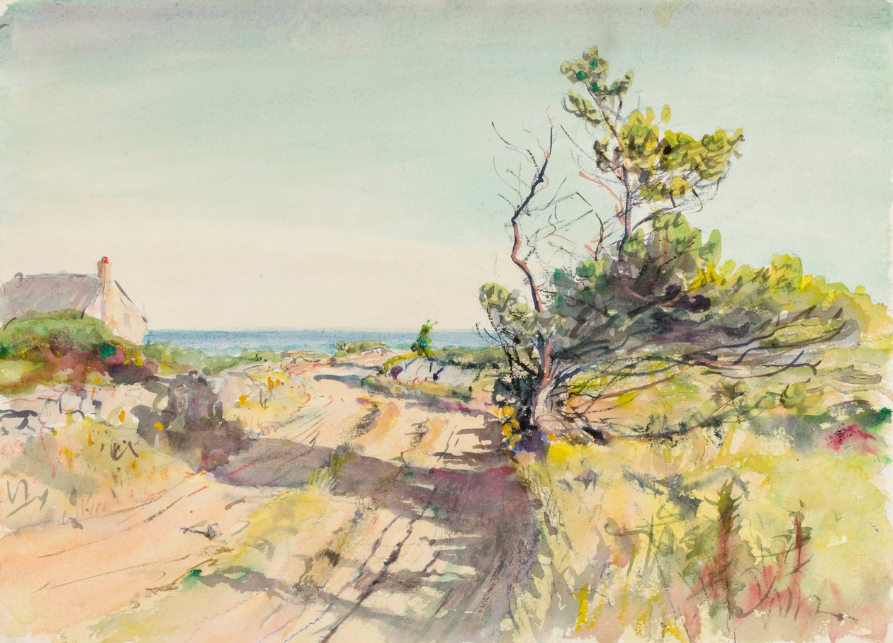Uten tittel, slutten av 1800-begynnelsen av det 20. århundre. av Howard Russell Butler