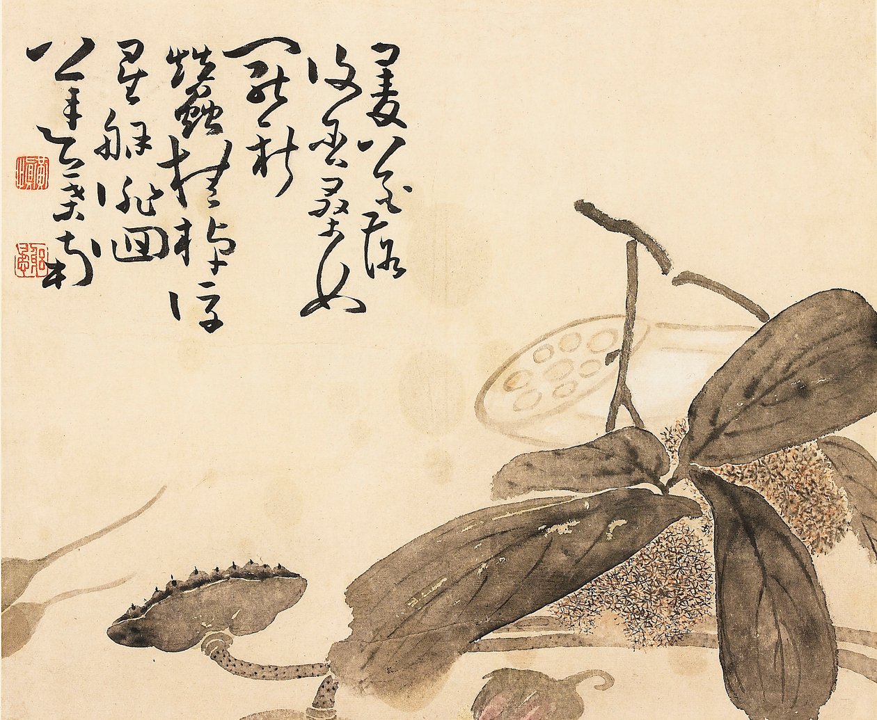 Malt albumblad - Lotusplante, 1700-tallet av Huang Shen