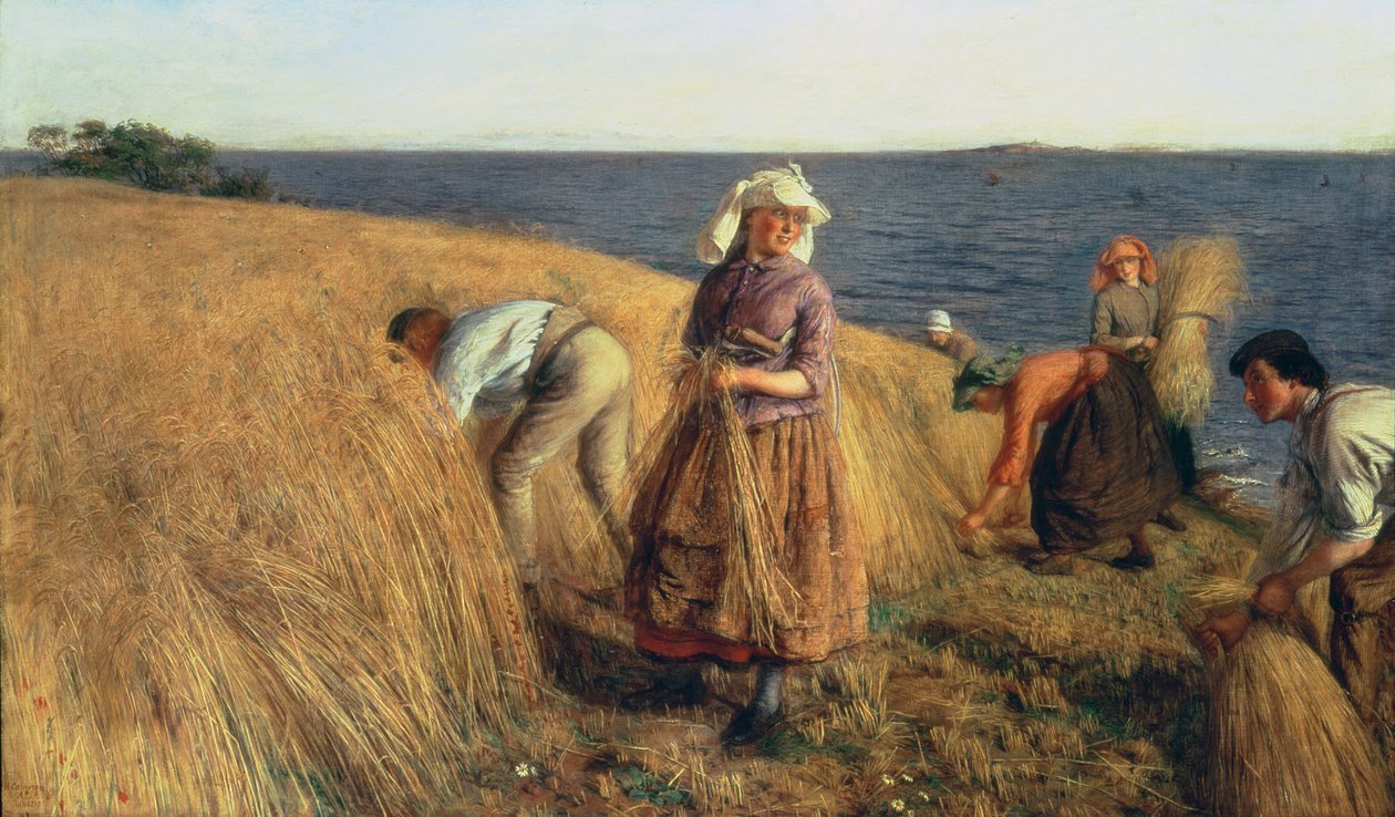 Innhøstingen av Hugh Cameron