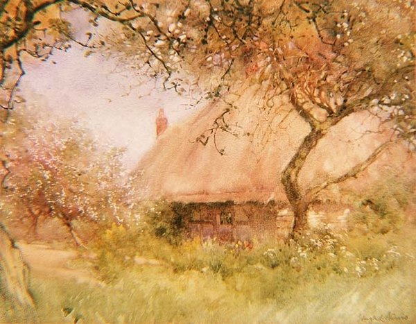 Epletrehytte av Hugh L. Norris