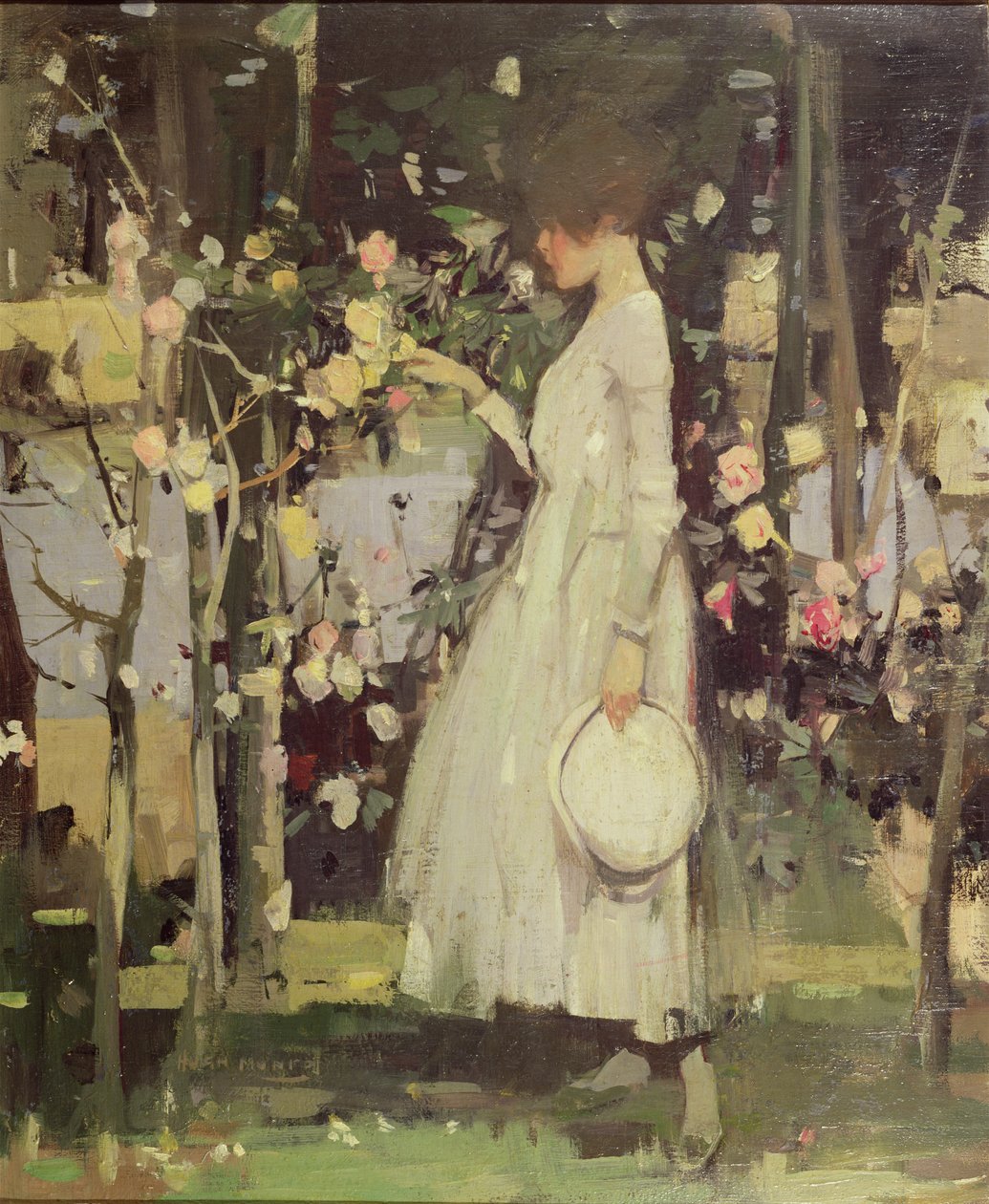 I en Galloway Rose Garden av Hugh Munro