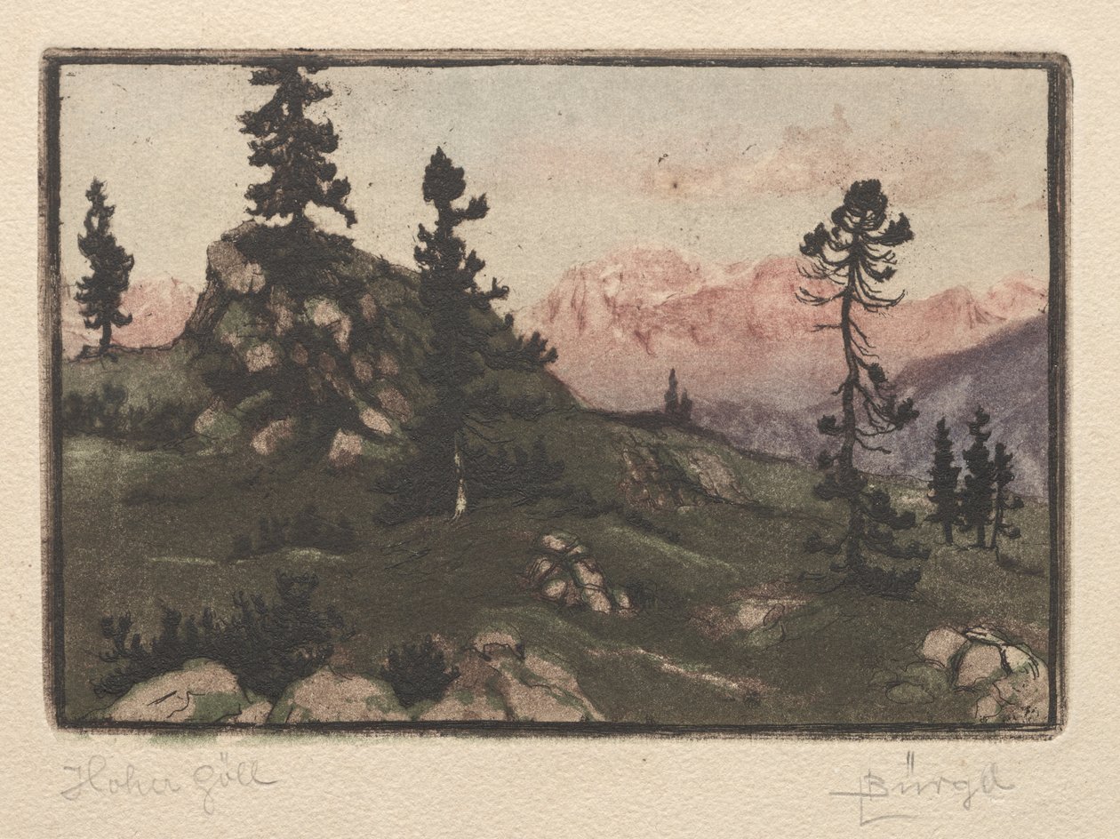 Høy måke av Hugo Burghel