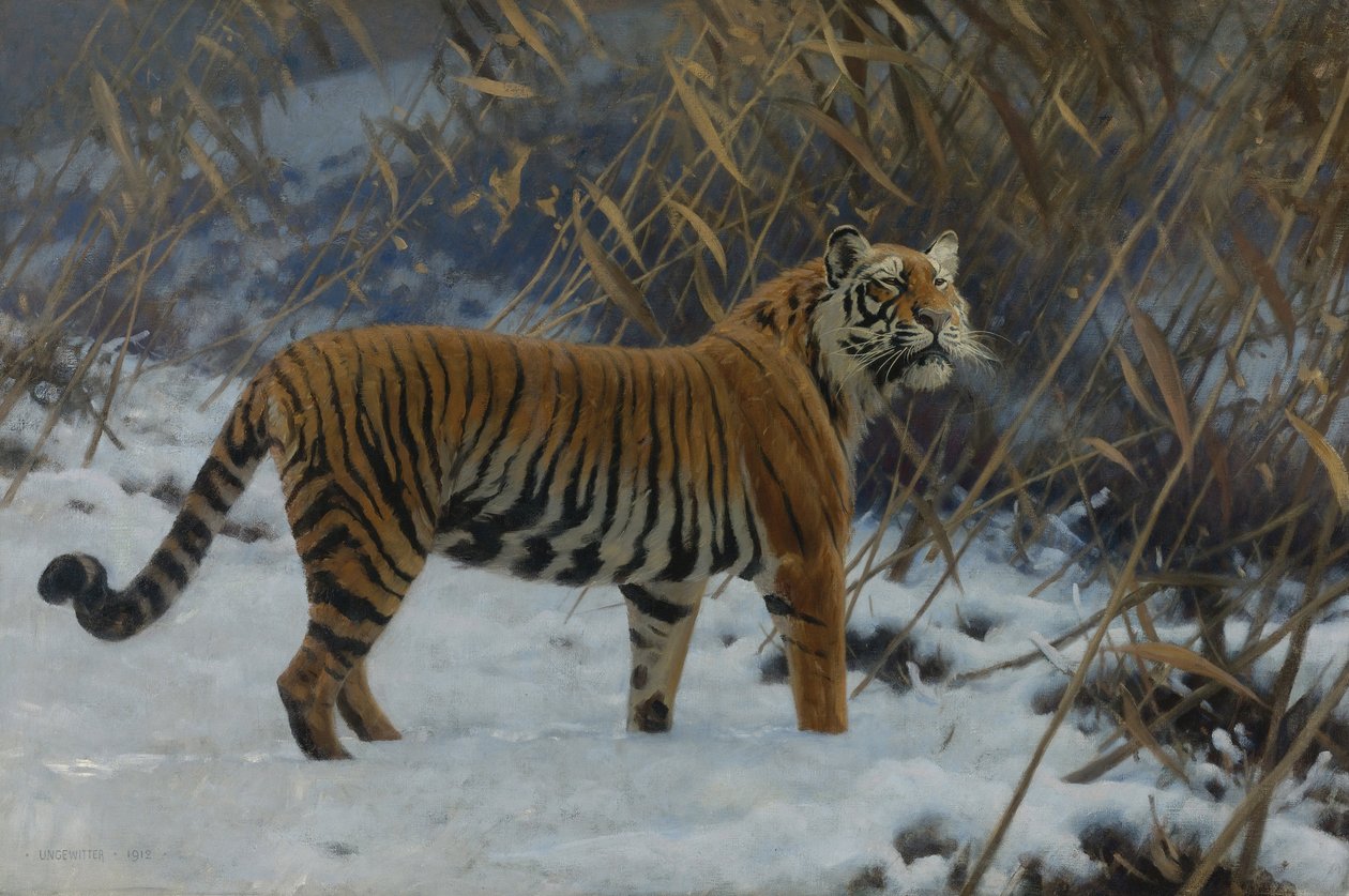 ""En tiger i snøen"" (En tiger i snøen) Maleri av Hugo Ungewitter (1869-1944) 1912 Privat samling av Hugo Ungewitter