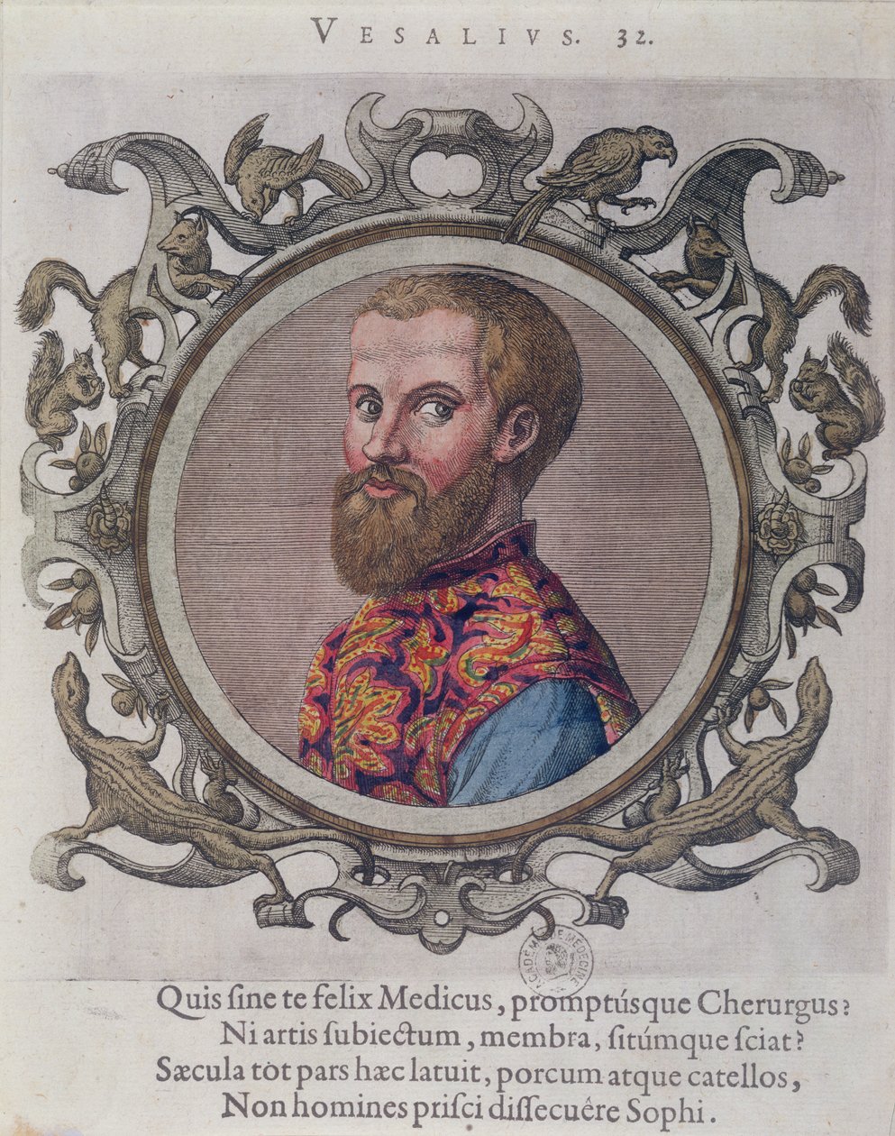 Portrett av Andreas Vesalius (1514-64) fra Receuil des Portraits de Medecins av den ungarske legen, Sambucus, 1574 av Hungarian School