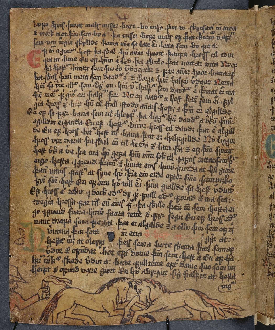 Horse Fight, fra Heynesbok (The Book of Heynes), 1. halvdel av 1500-tallet av Icelandic School