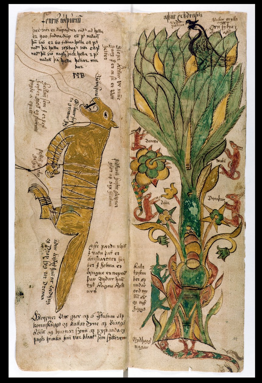 Ulven Fenrir og verdenstreet Yggdrasil, 1680 av Icelandic School