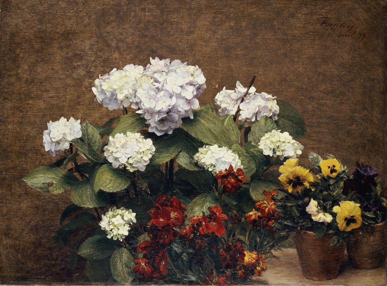 Hortensias og aksjer med to potter av stemorsblomster, 1879 av Ignace Henri Jean Fantin Latour