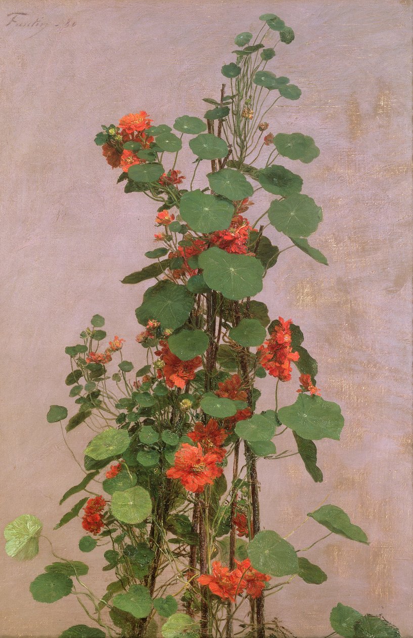 Nasturtiums, 1880 av Ignace Henri Jean Fantin Latour