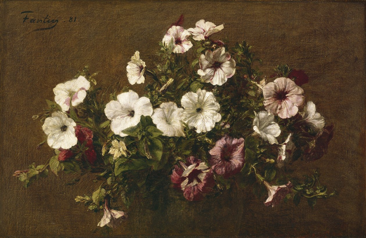 Petunia, 1881 av Ignace Henri Jean Fantin Latour