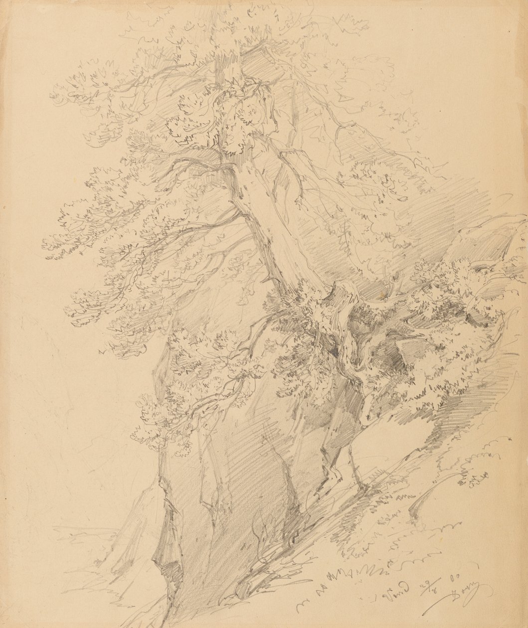 trestudie av Ignaz Dorn
