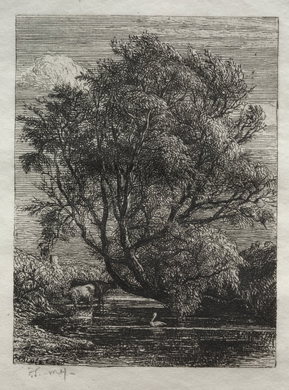 Willow av Ignaz Gunther