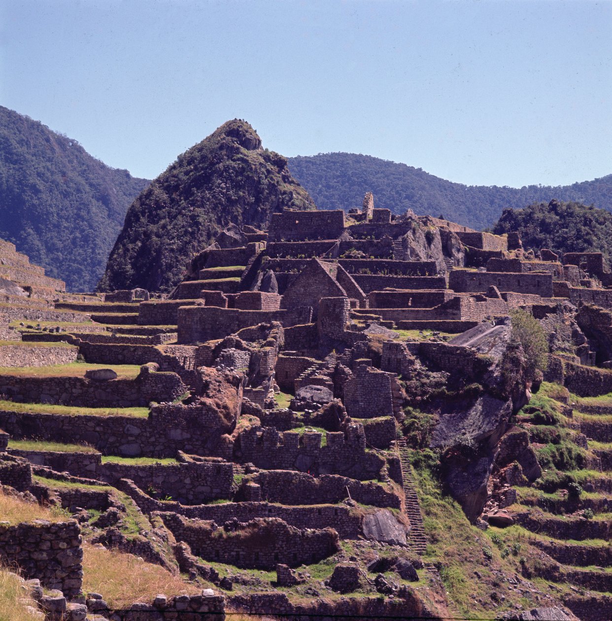 Terrassebygninger til citadellet ved Machu Picchu av Incan