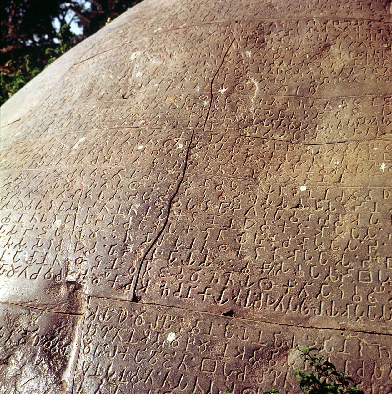 Kopi av steinen til keiser Ashoka (ca. 264-223 f.Kr.) (detalj) av Indian