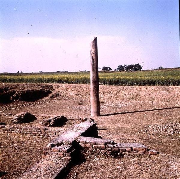 Søyle av keiser Ashoka (ca. 264-223 f.Kr.) Mauryan (bilde) (se også 162926) av Indian